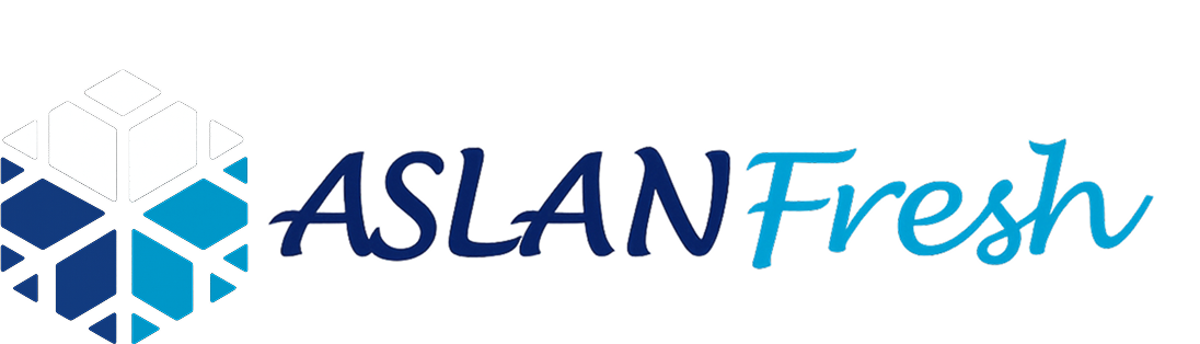 aslanlogo